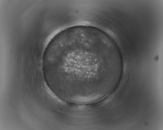 X0000112471326200909071124