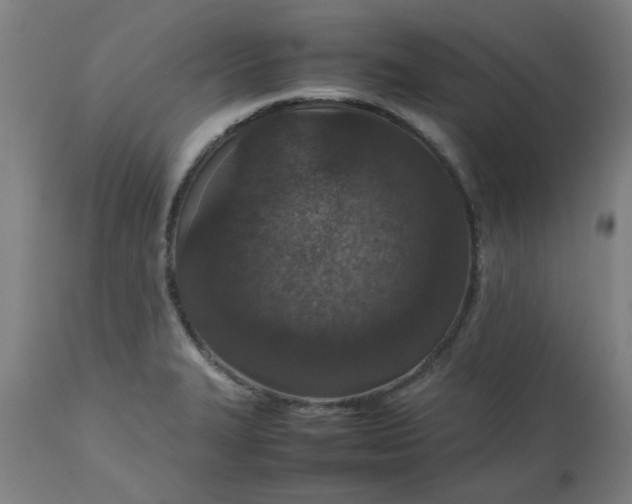 X0000112471327200909071124