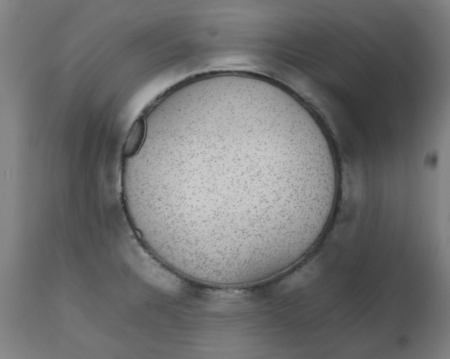 X0000112471328200909071124