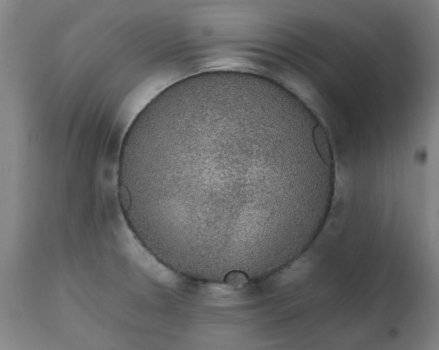 X0000112471330200909071124