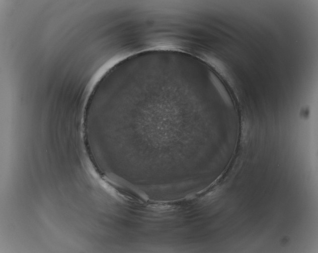 X0000112471331200909071124