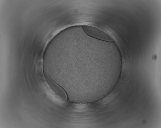 X0000112471332200909071124