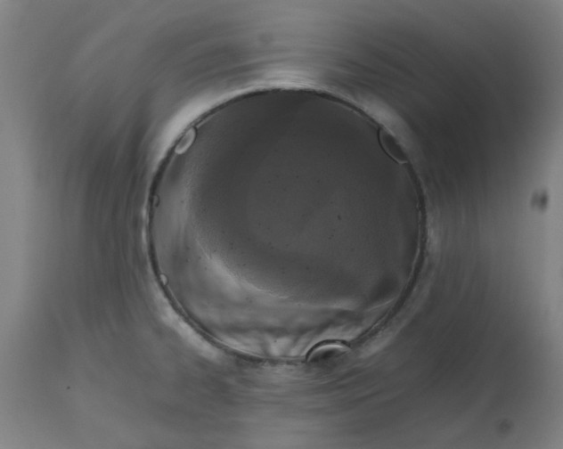 X0000112471334200909071124