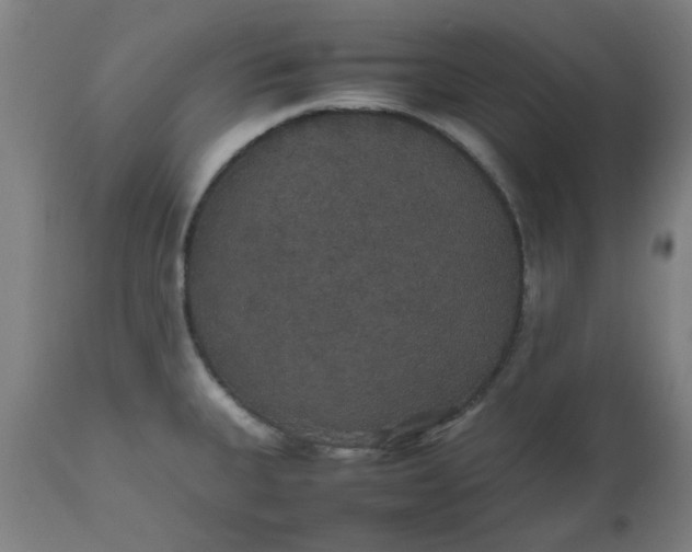 X0000112471335200909071124