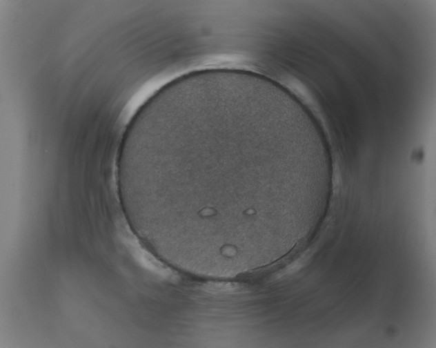 X0000112471336200909071124