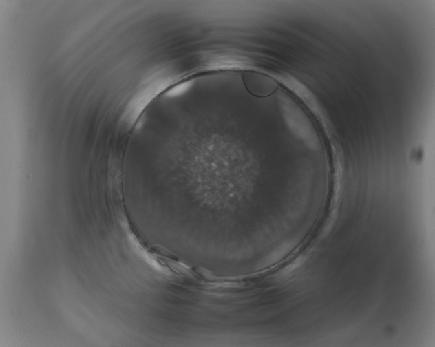 X0000112471337200909071124