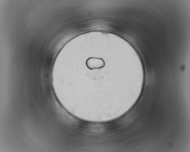 X0000112471338200909071124