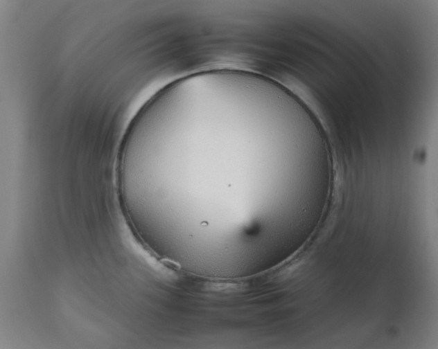 X0000112471339200909071124