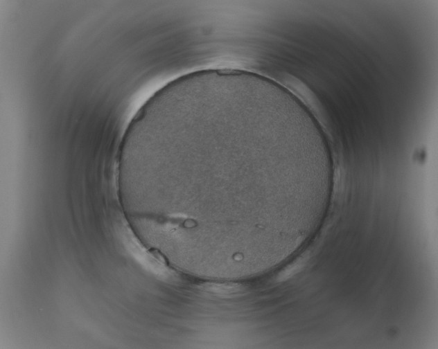 X0000112471340200909071124