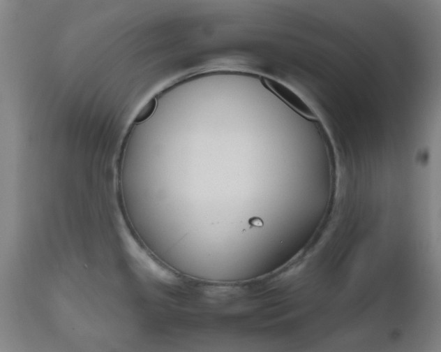 X0000112471341200909071124