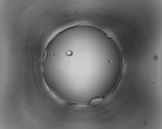 X0000112471342200909071124