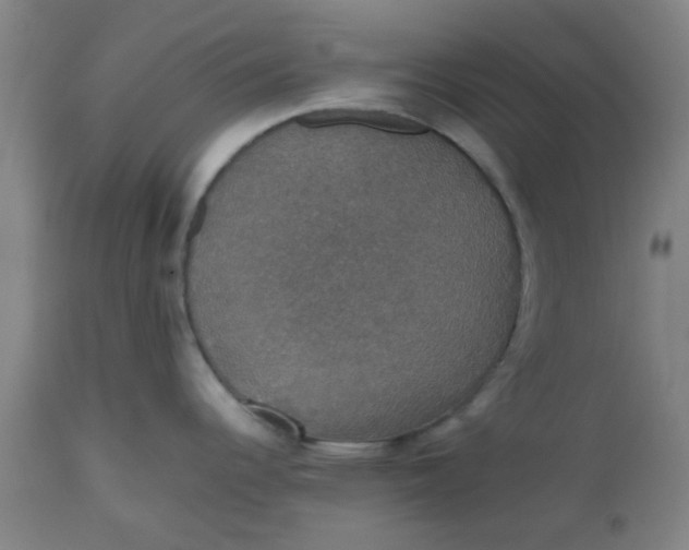 X0000112471344200909071124