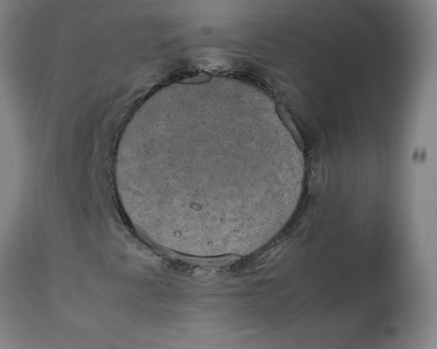 X0000112471345200909071124