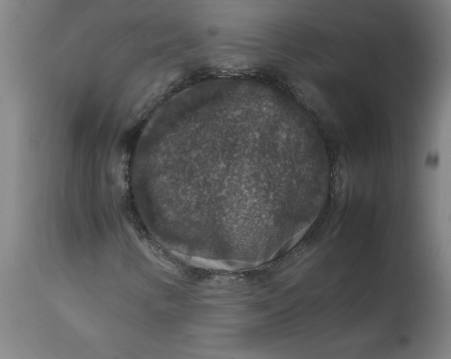 X0000112471346200909071124