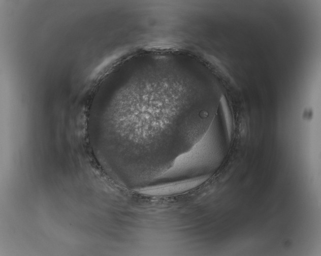 X0000112471350200909071124