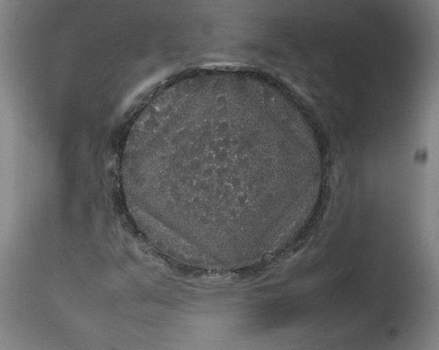 X0000112471351200909071124