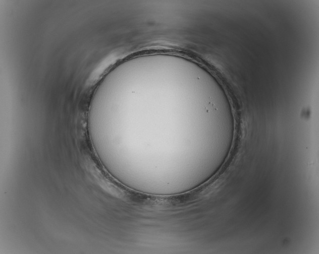 X0000112471355200909071124