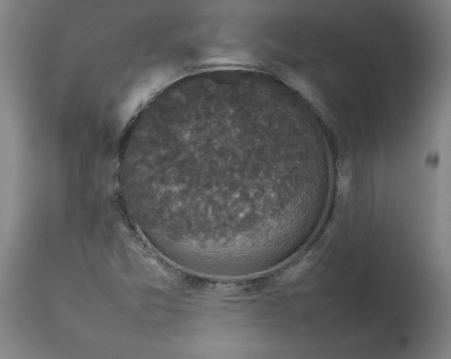 X0000112471357200909071123