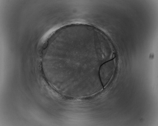 X0000112471359200909071123