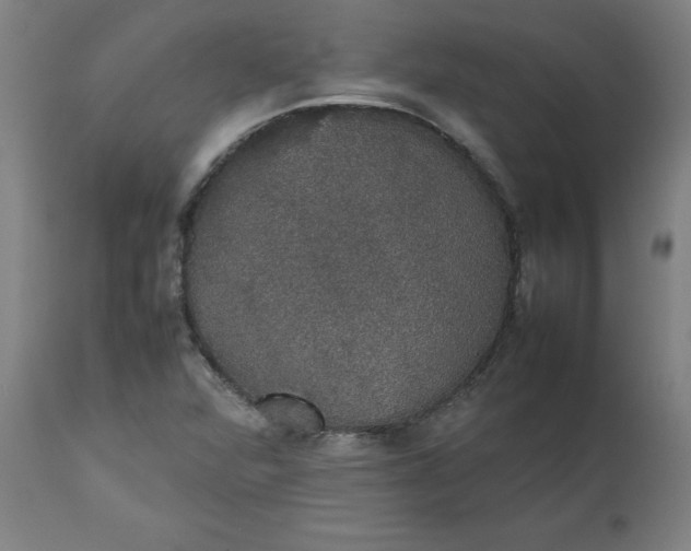 X0000112471360200909071123