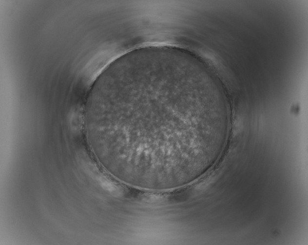 X0000112471361200909071123