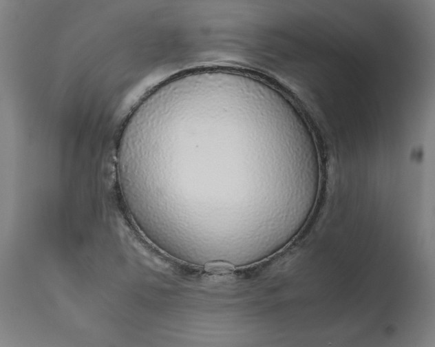 X0000112471363200909071123