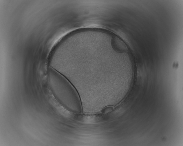 X0000112471364200909071123