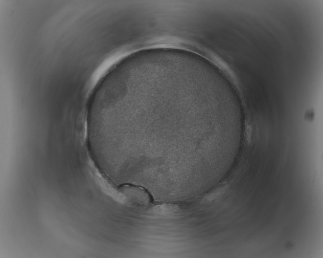 X0000112471368200909071123