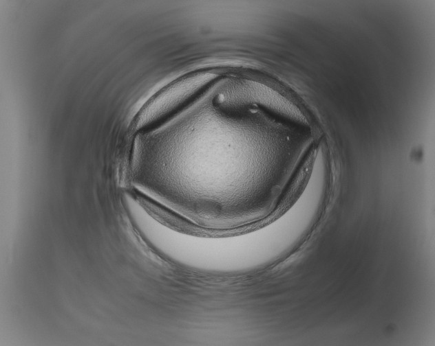 X0000112471369200909071123