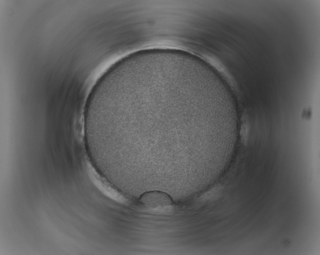 X0000112471372200909071123