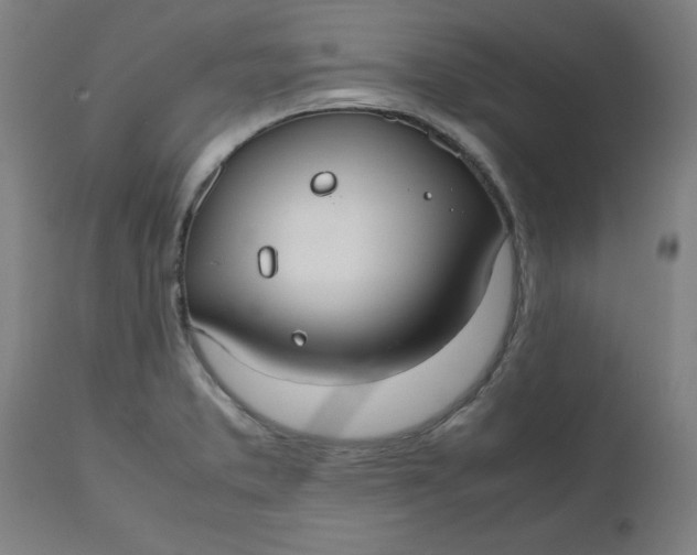 X0000112471373200909071123