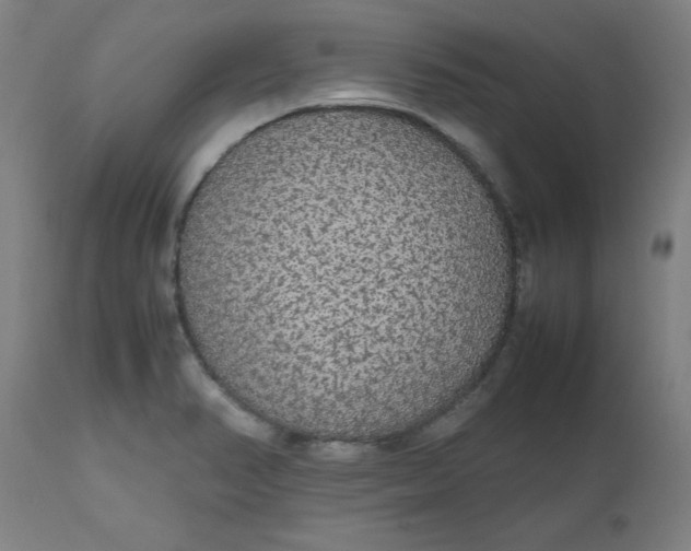 X0000112471374200909071123