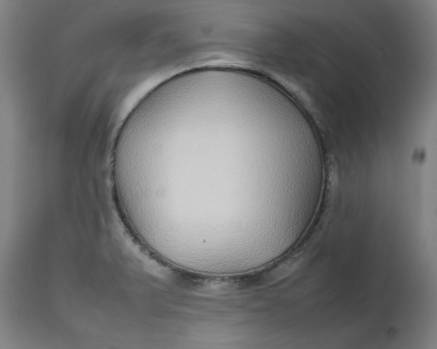 X0000112471375200909071123