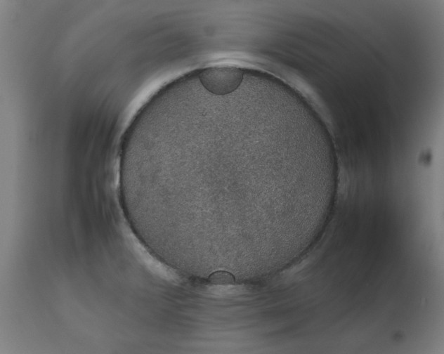 X0000112471376200909071123