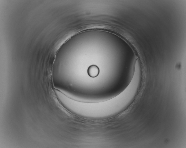 X0000112471377200909071123