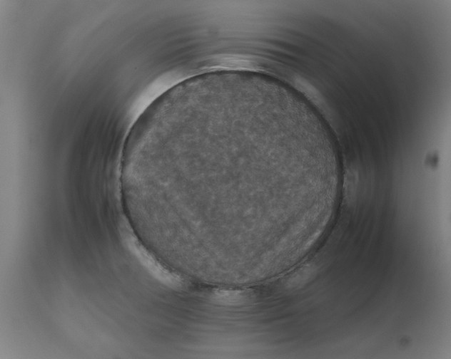 X0000112471378200909071123