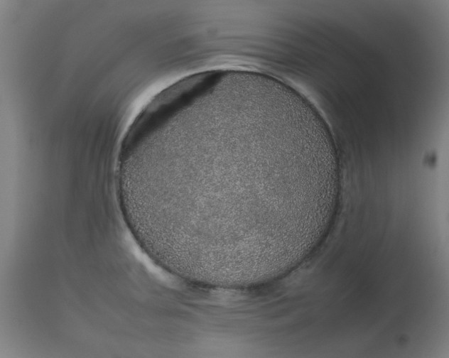 X0000112471379200909071123