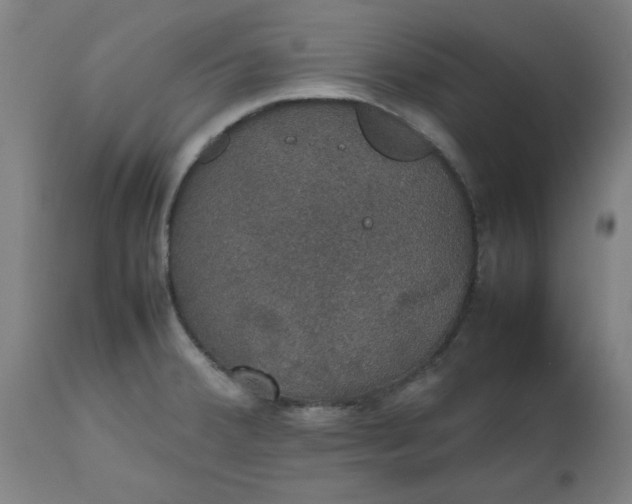 X0000112471380200909071123