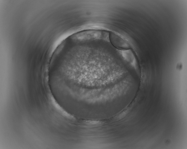 X0000112471382200909071123