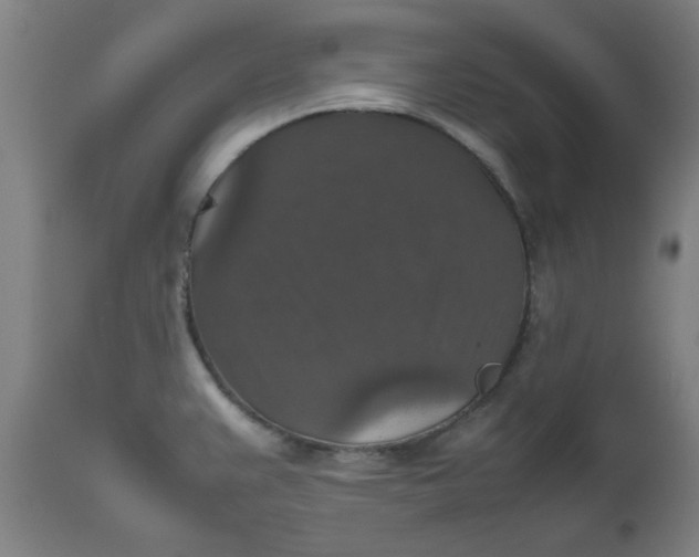 X0000112471383200909071123