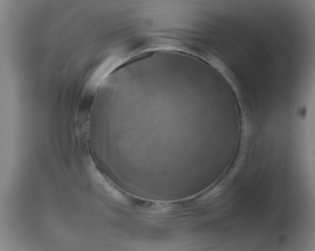 X0000112471385200909071123