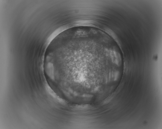 X0000112471386200909071123