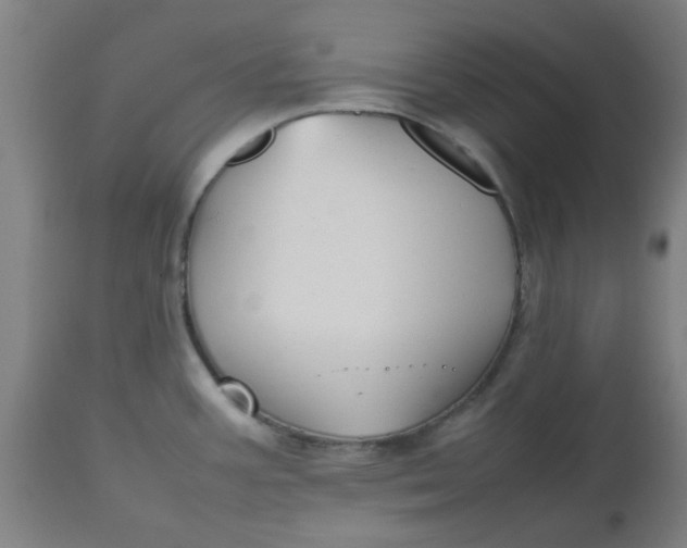 X0000112471387200909071123