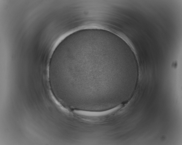 X0000112471388200909071123