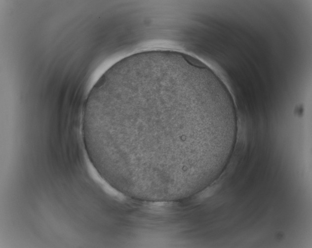 X0000112471390200909071123