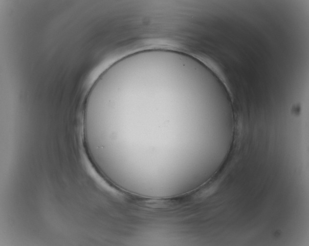 X0000112471391200909071123