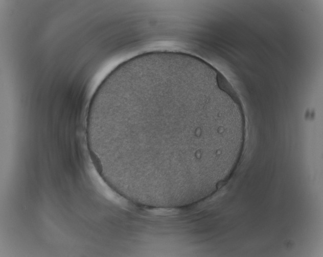 X0000112471392200909071123