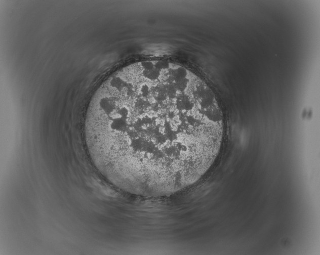 X0000112471393200909071122