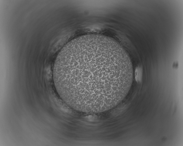 X0000112471395200909071122