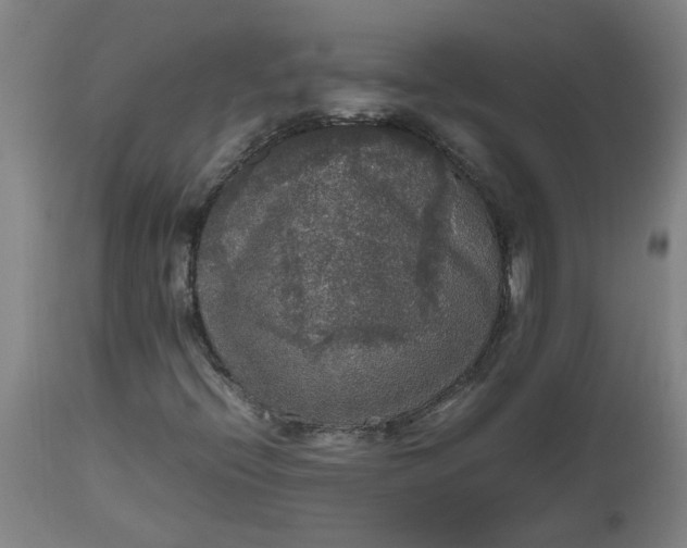 X0000112471396200909071122